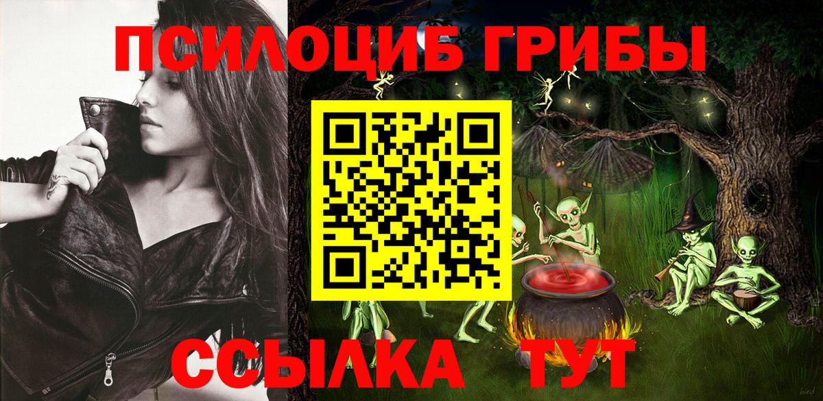 Псилоцибиновые грибы прущие грибы  Вход с VPN  Черкесск 